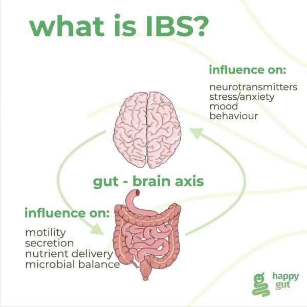 What is IBS? Gut – brain axis