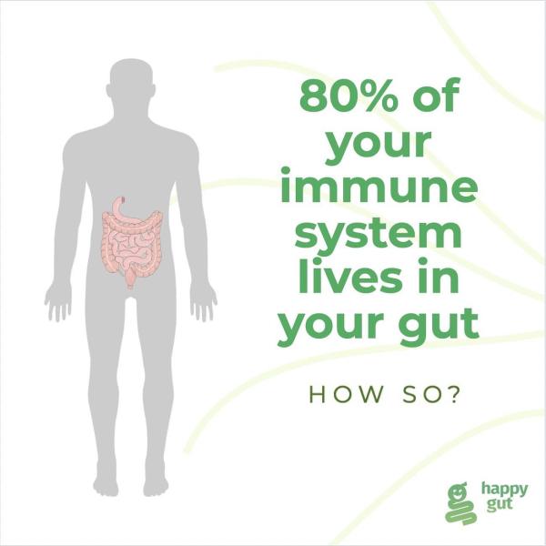 80% of your immune system lives in your gut