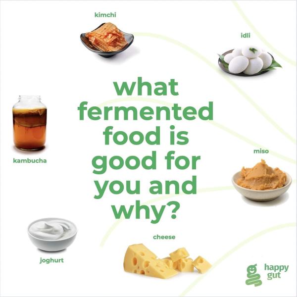 Importance of fermented foods