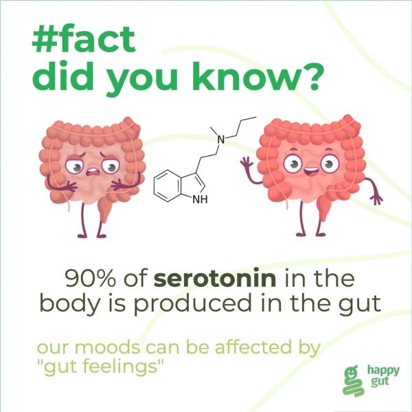 #fact about gut