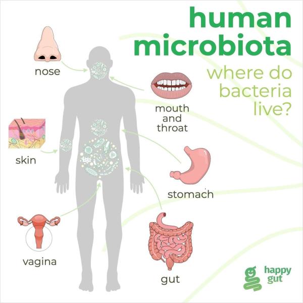 Human microbiota - where do bacteria live?