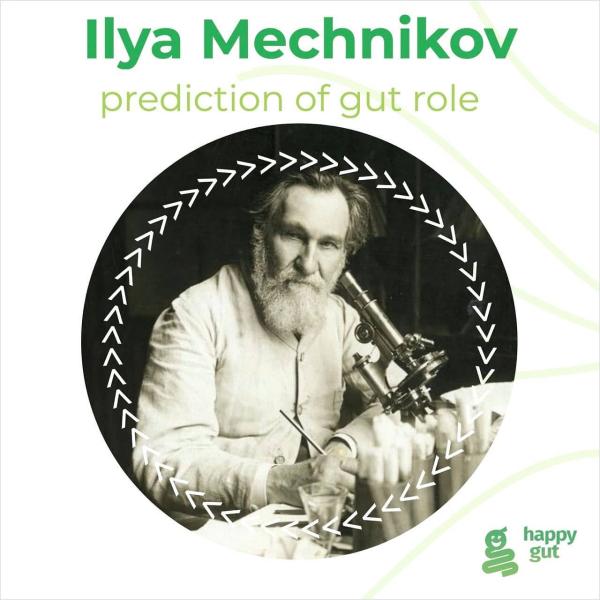 Ilya Mechnikov. Prediction of gut role.