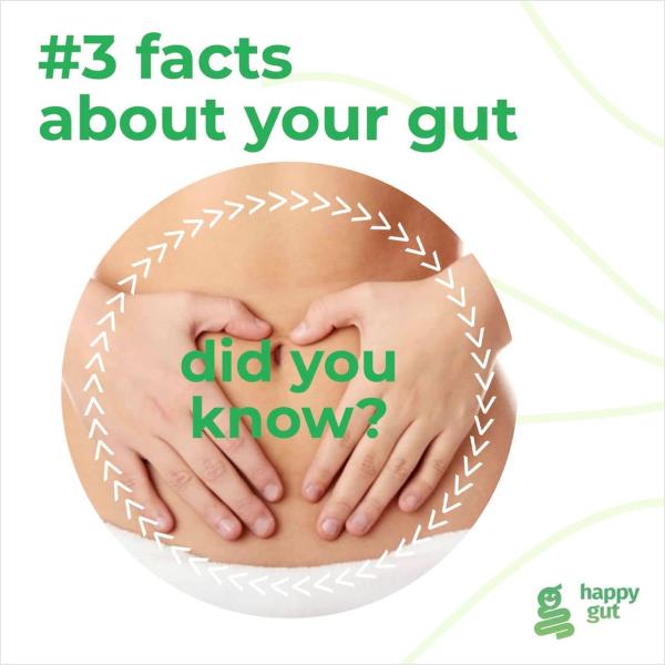 #3 facts about your gut