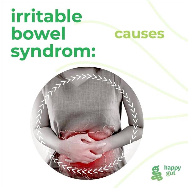 Irritable Bowel Syndrome: causes