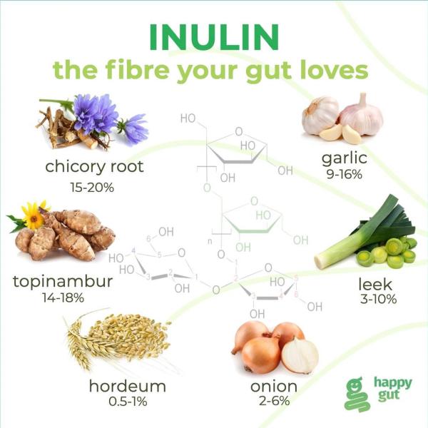 Inulin - the fibre your gut loves
