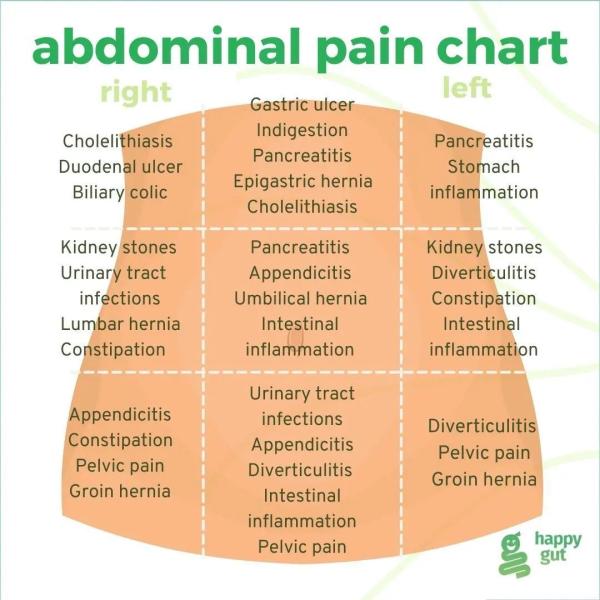 Abdominal pain chart