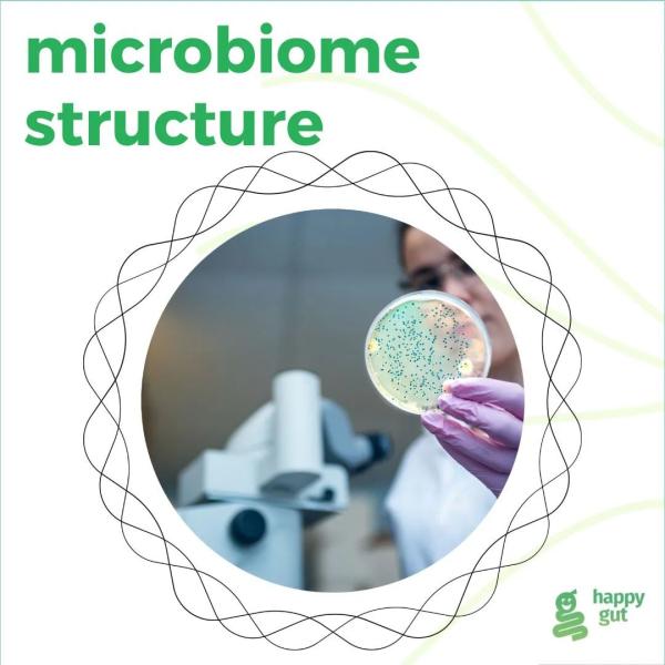 Microbiome structure