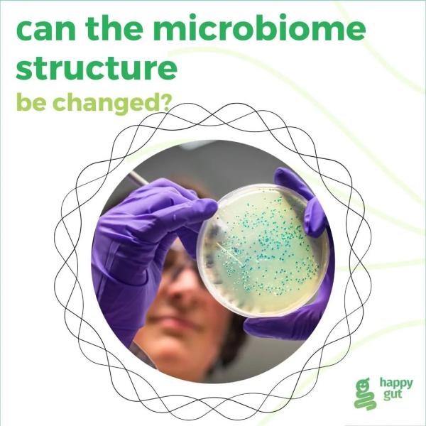 Microbiome structure: can be changed?