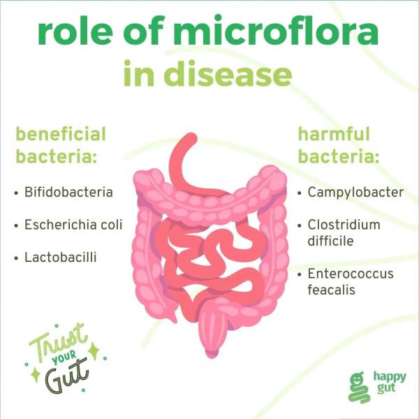 Role of microflora in disease