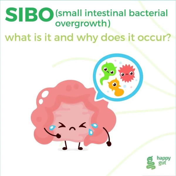 SIBO (small intestinal bacterial overgrowth)