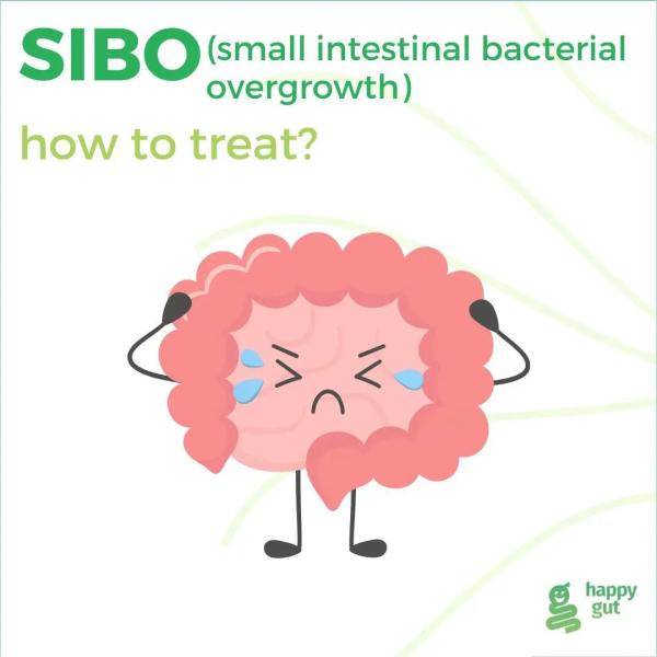SIBO: How to treat?