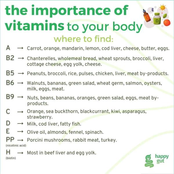 Importance of vitamins to the body